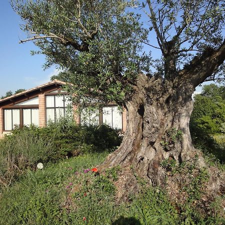 Chalet Domaine De Combe Ramond Hotel Veilhes Exterior foto